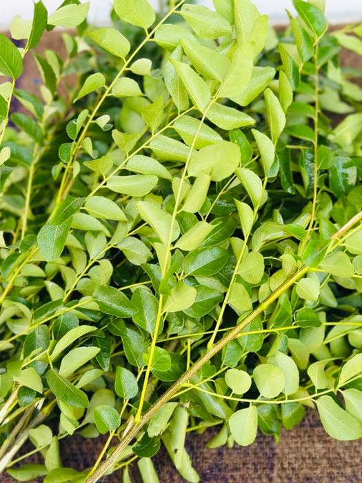 Curry Leaves | कढीपत्ता