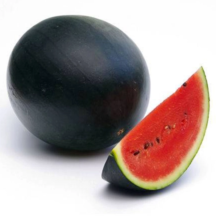 Watermelon Dark