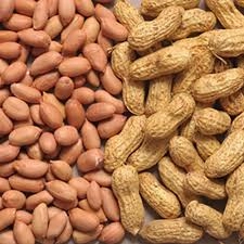 Ground nut | भुईमूग