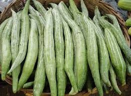 Snake Gourd | पडवळ