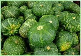 Raw Pumpkin | कच्चा भोपळा