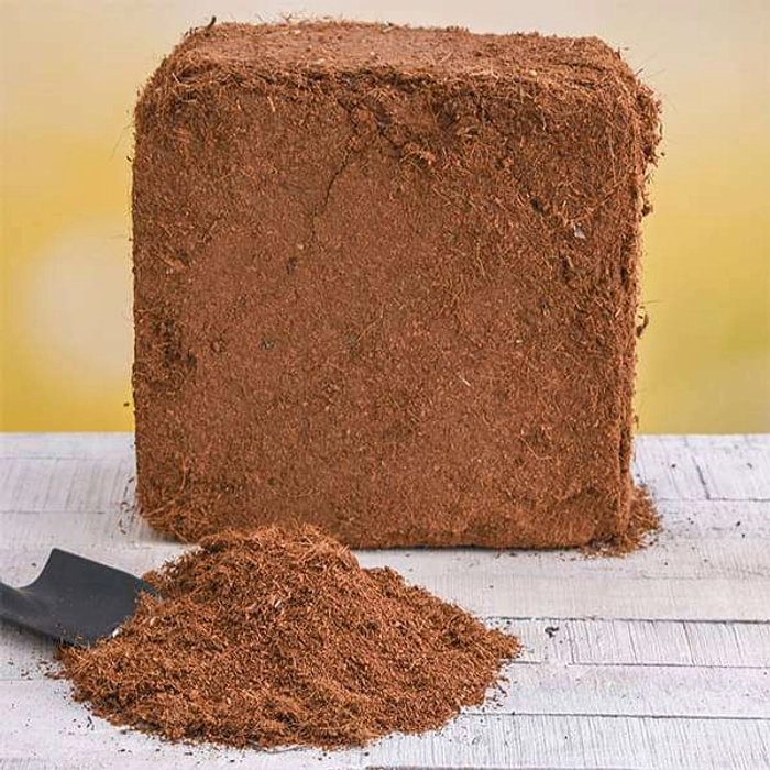 Cocopeat Block