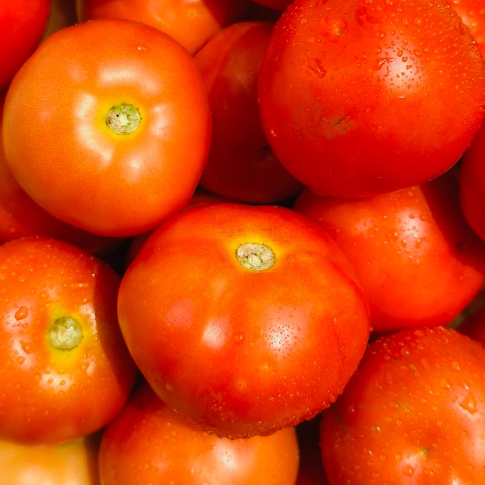 Desi Tomato |  गावरान टमाटं