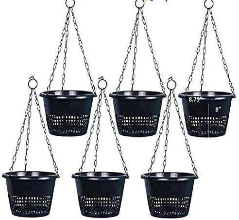 Atlantic Orchid Hanging Basket Set of 4