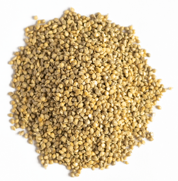 Organic Barnyard Millet
