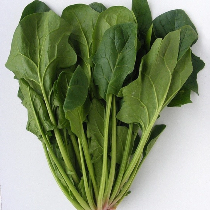 Spinach | पालक