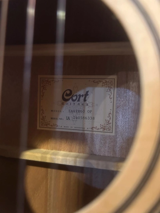 Cort Earth 60