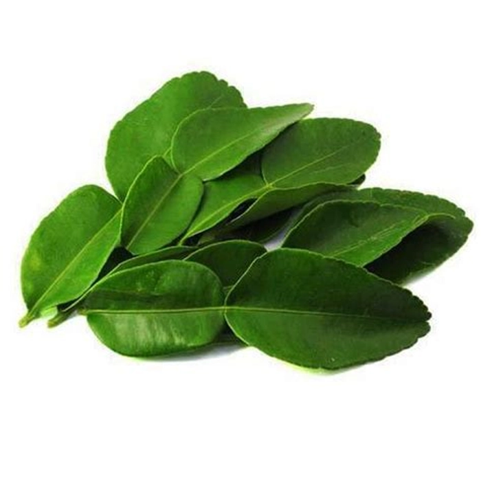 Lemon Leaves