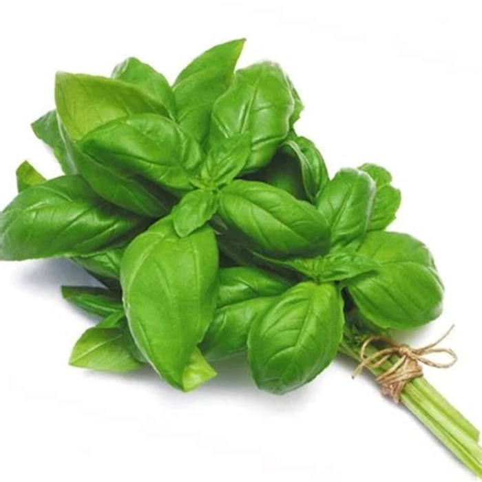 Beleefy Italian Basil