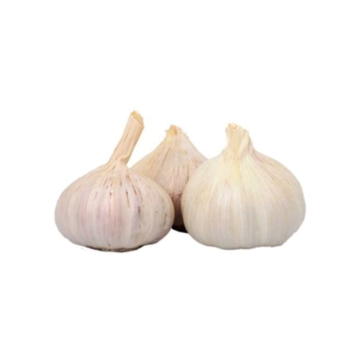 Garlic Small 250GM