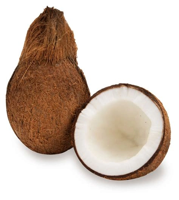 Coconut