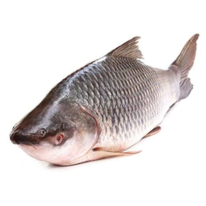 ROHU SMALL (1Kg-1.5Kg)