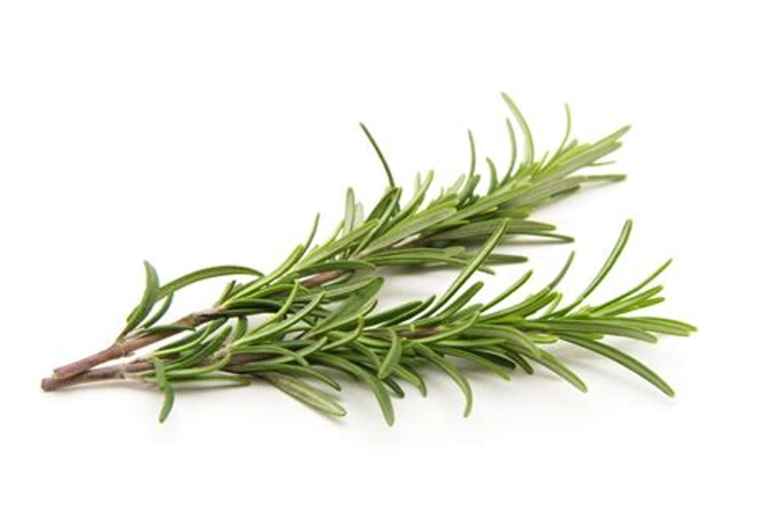 Rosemary Fresh