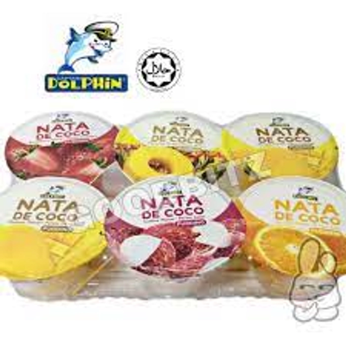 DOLPHIN ASSORTED PUDDING 85G*6PC-510g