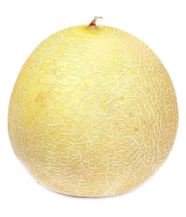 Melon Namdhari 500GM