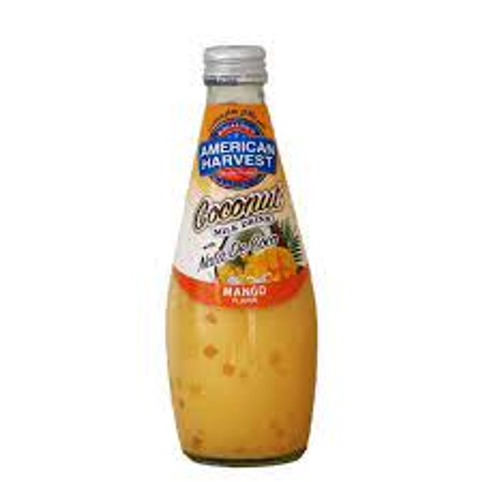 COCONUT MILK - MANGO & NDC 290ml