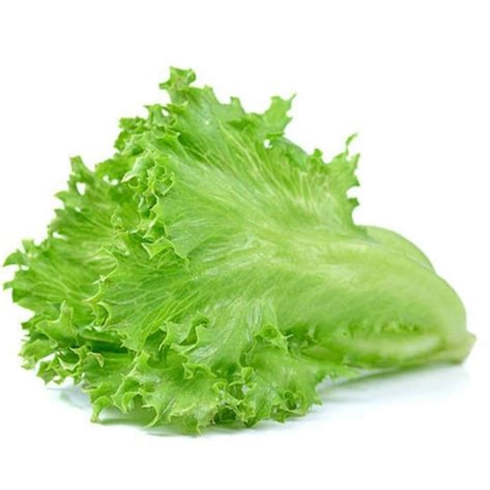 Beleefy Curly Green Lettuce