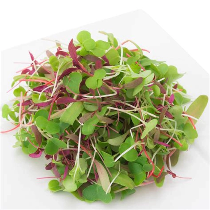 Beleefy Spicy Microgreens And Lettuce Mix