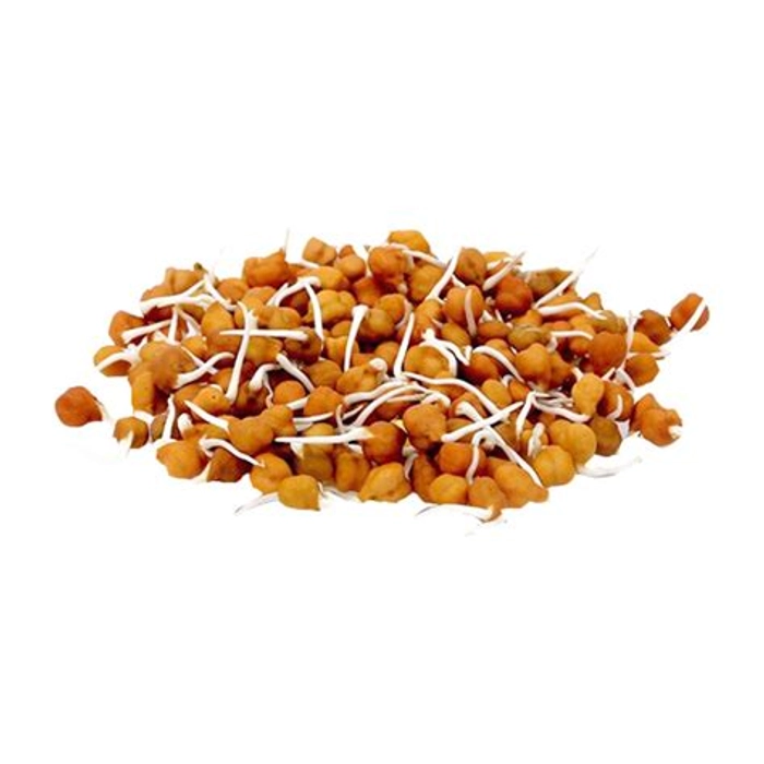 Chana Sprout