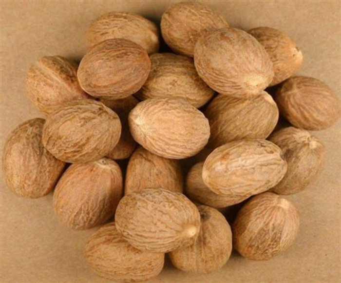 Nutmeg / जायफल / Jaayphal