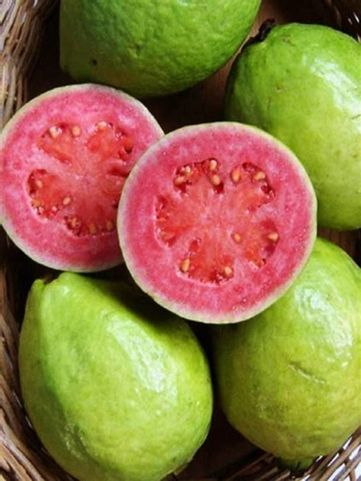 guava