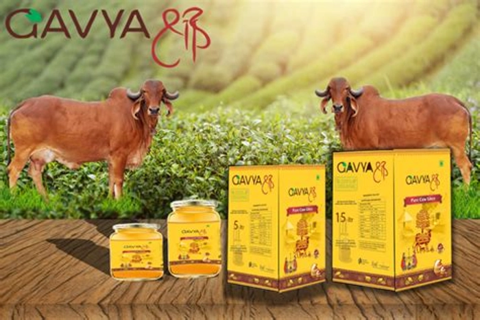 Gavyashree Pure & Natural Bilona Ghee 15 Ltr