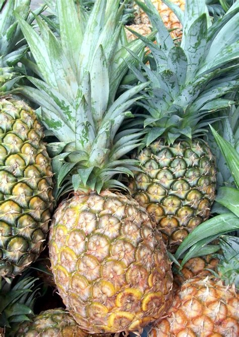 Pineapple