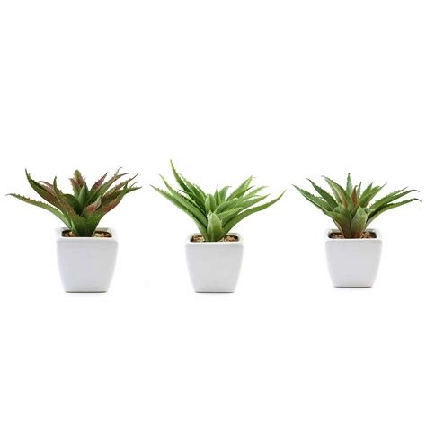 Set Of 3 Green Plants In Ceramic Pots