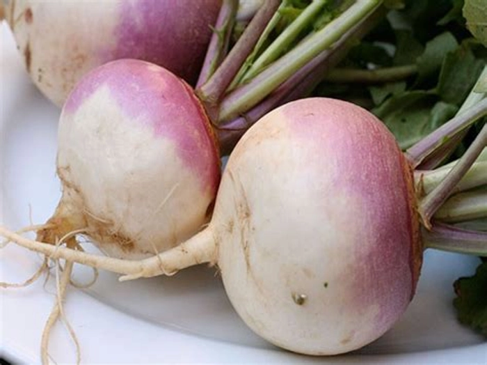 turnip(शलजम)