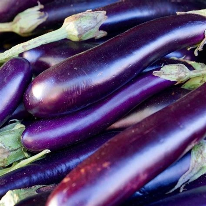 Begun Long-Purple/Brinjal/Eggplant Long-Purple