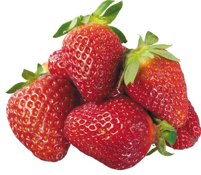 Strawberry Organic