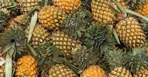 Pineapple