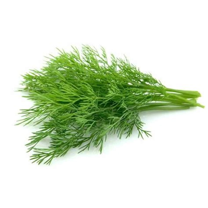 Dill Leaves / Soya