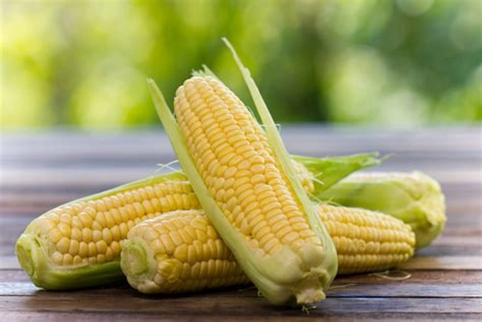 Sweet Corn