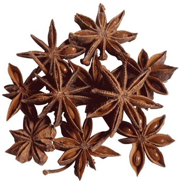 Star Anise / चक्र फूल / Chakraphool