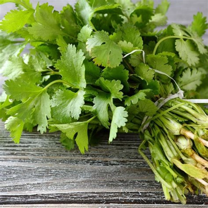 Coriander Leaves