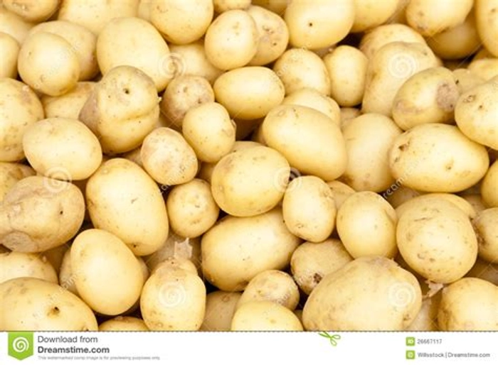 Potato