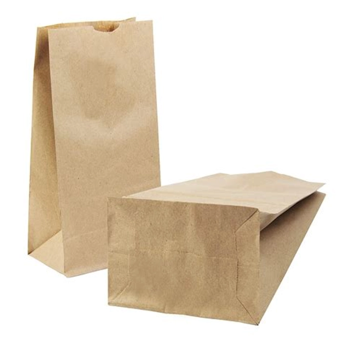 Paper Bag 7*4*11