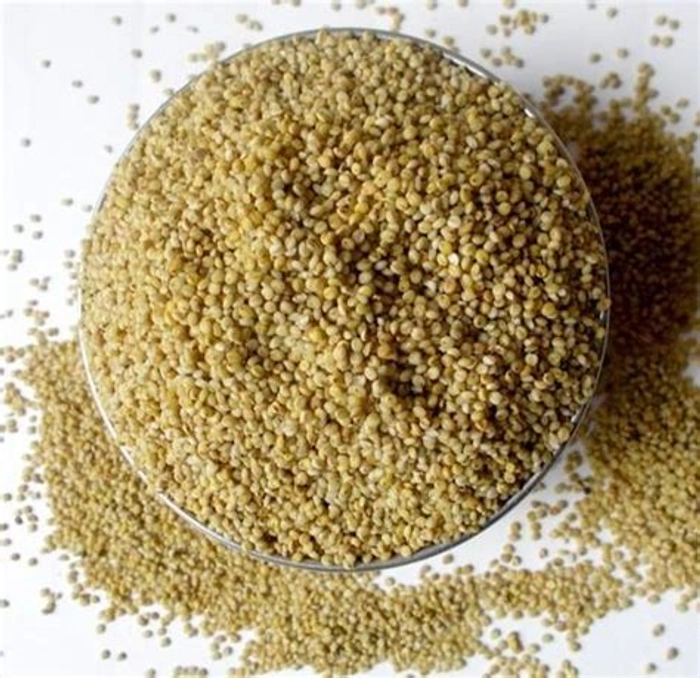 Browntop Millets/ Andu Korralu 500g