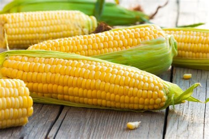 Sweet Corn