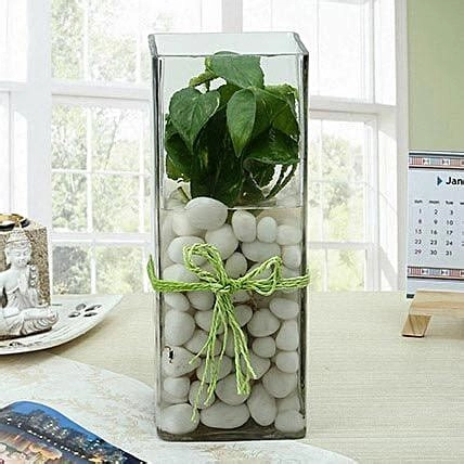 Exquisite Three Layer Bamboo Terrarium