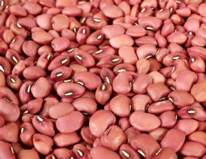 Cowpea Red