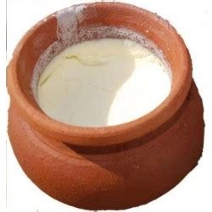 Curd (Matka)