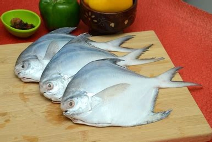 Fresh Pomfret Medium Size - ফ্রেশ পম্ফ্রেট