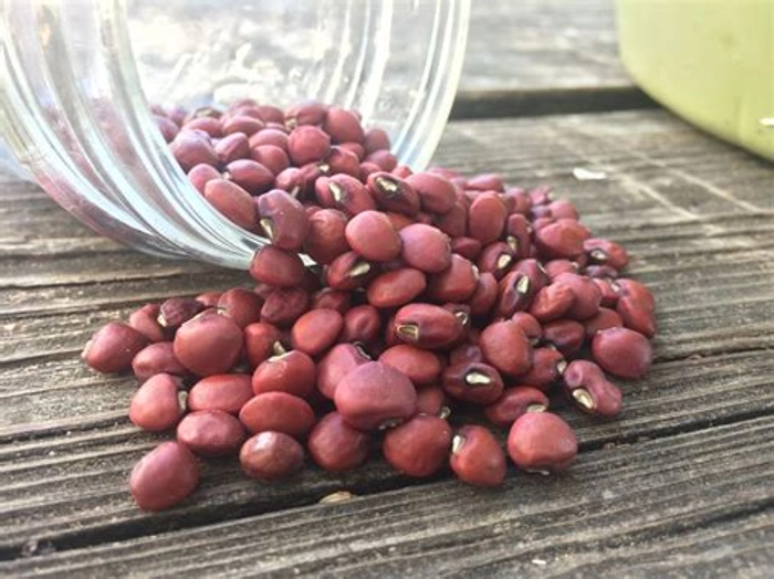 Cowpea Red