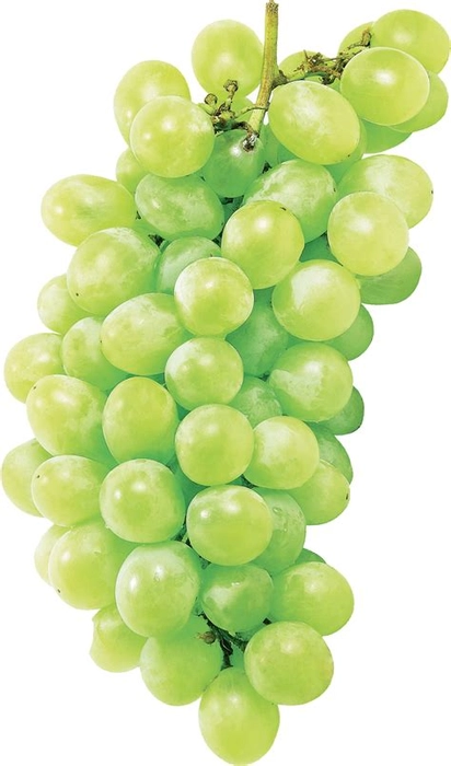 Grapes