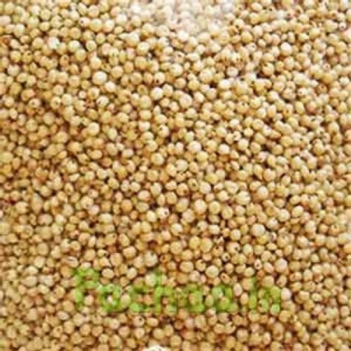 வெள்ளை சோளம் / Sorugham / Jowar 500g