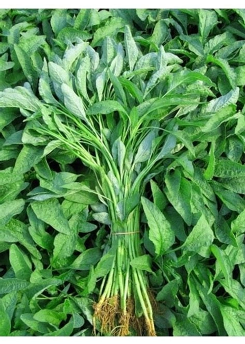 amaranth leaf ( thotakoora)