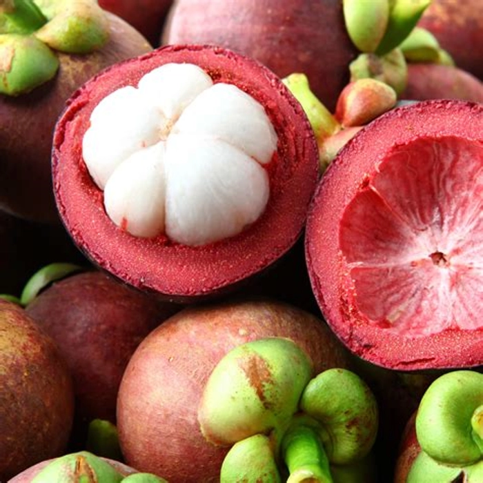 Mangosteen