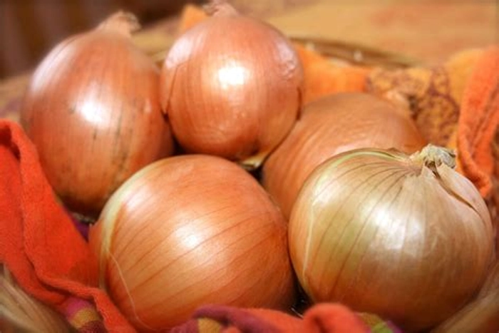 Onion